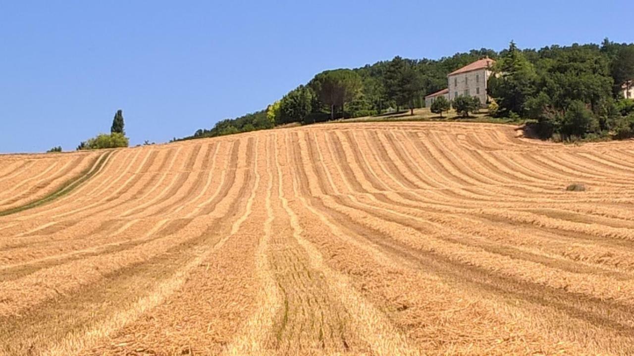 La Maison De Maitre Sainte-Livrade-sur-Lot Buitenkant foto